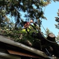 Reclaiming Space: How Tree Removal Services In Portland Facilitate Efficient Land Clearing