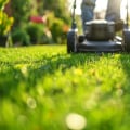 Austin's Sod Makeover: A Fresh Start After Land Clearing