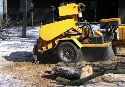 Expert Stump Grinding Services For Hassle-Free Land Clearing In Kalamazoo