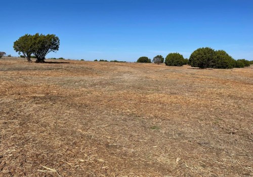 Why Stump Removal Is Crucial For Effective Land Clearing In Greater Austin