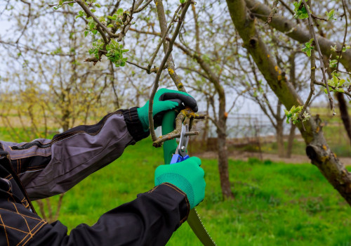 Visualize The Possibilities: Landscape Construction Service Transforms Your Land Clearing Project In Portland