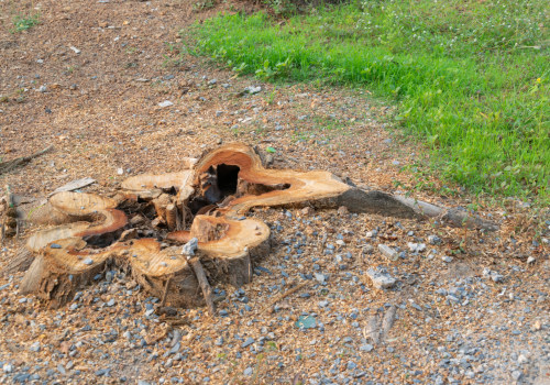 How Stump Grinding Services Can Ensure Your Compliance With Land Clearing Regulations In New Orleans