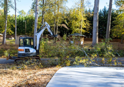 Streamlining Land Clearing: The Role Of Tree Removal In Louisville