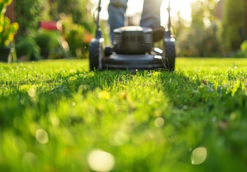 Austin's Sod Makeover: A Fresh Start After Land Clearing